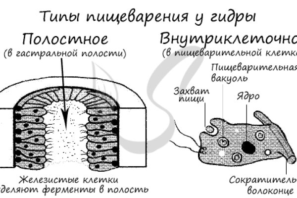 Как зайти на кракен