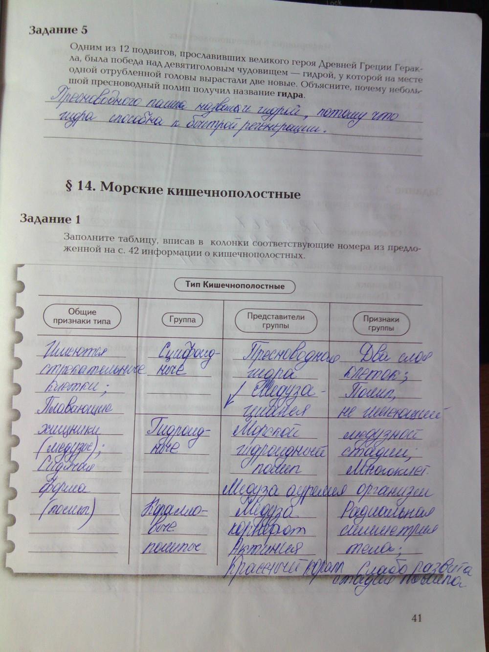 Как положить деньги на кракен